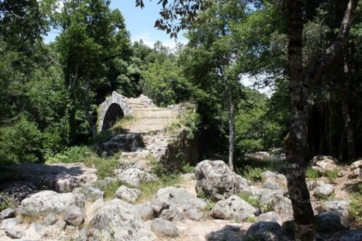 pont-genois-Olivese