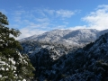 Col de la Vaccia