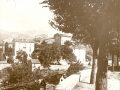 Olivese